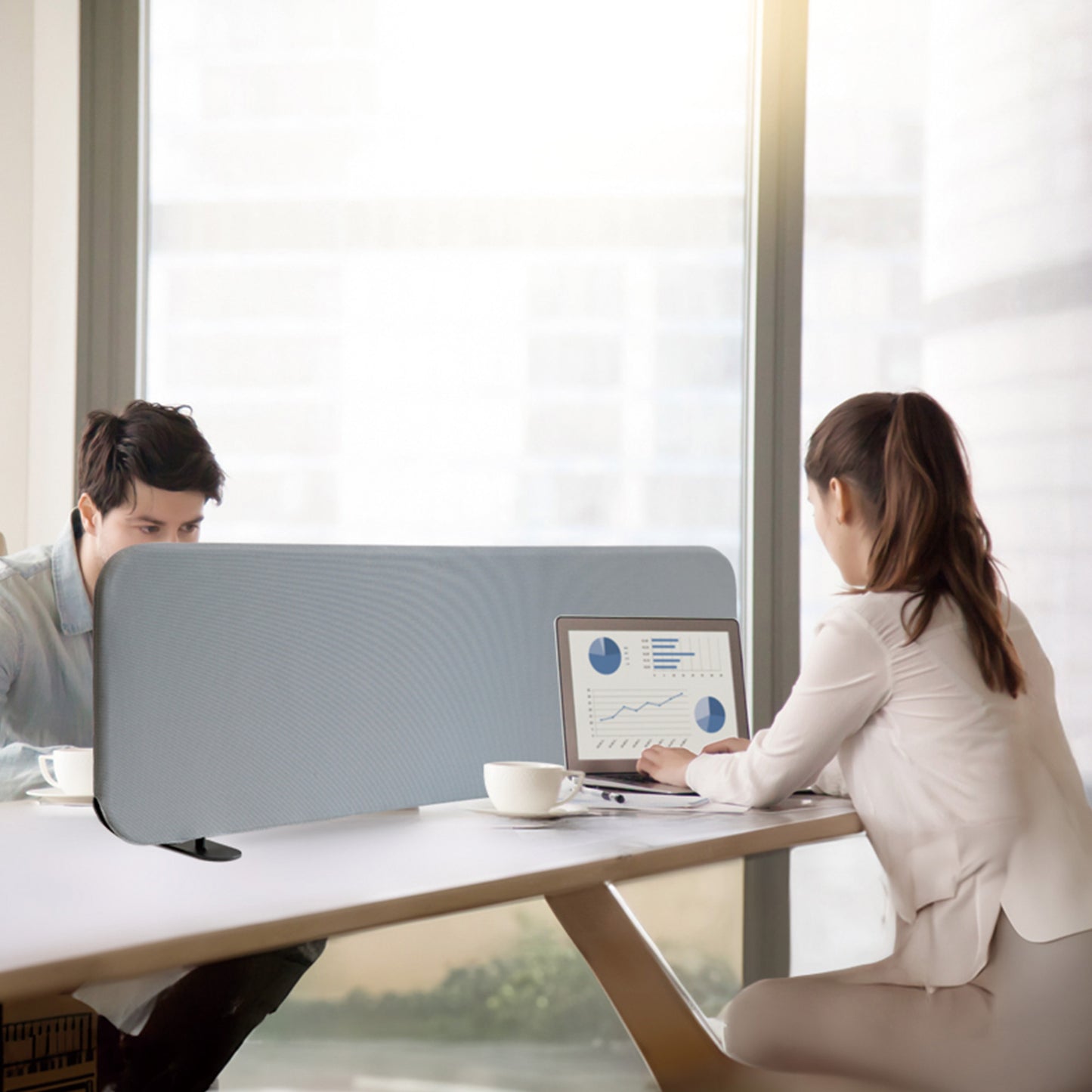 Freestanding Desk Divider 48"x18", Steel