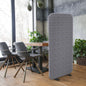 Standing Room Divider 29"x65", Frost