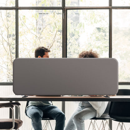 Freestanding Desk Divider, 48"x18", Sterling