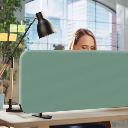 Freestanding Desk Divider, 48"x18", Aqua