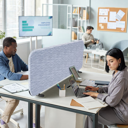 Freestanding Desk Divider, 48"x18", Birch