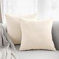 Throw Pillow Cover 18"x18" Pack of 2, Cloud